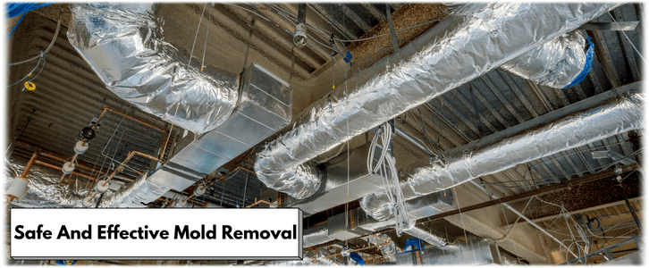 Air Duct Mold Removal in Wylie TX