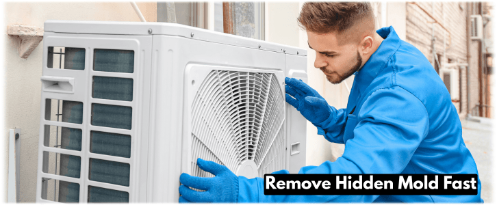 HVAC Mold Removal Wylie TX